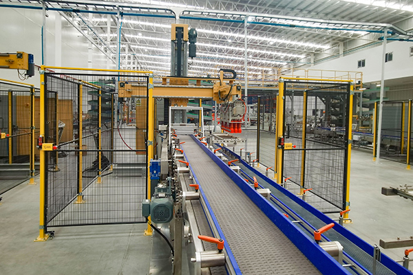 Servo coordinate case packing line(with cardboard partition） (2)