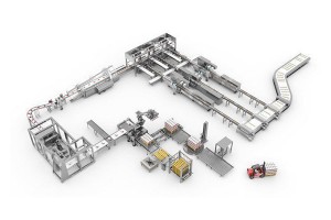 Packaging line for Food, daily chemical products